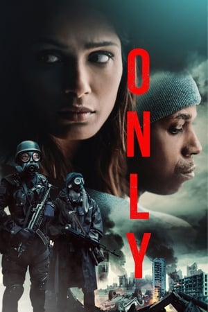 only-2019-hindi-dual-audio-hdrip-720p-480p-2